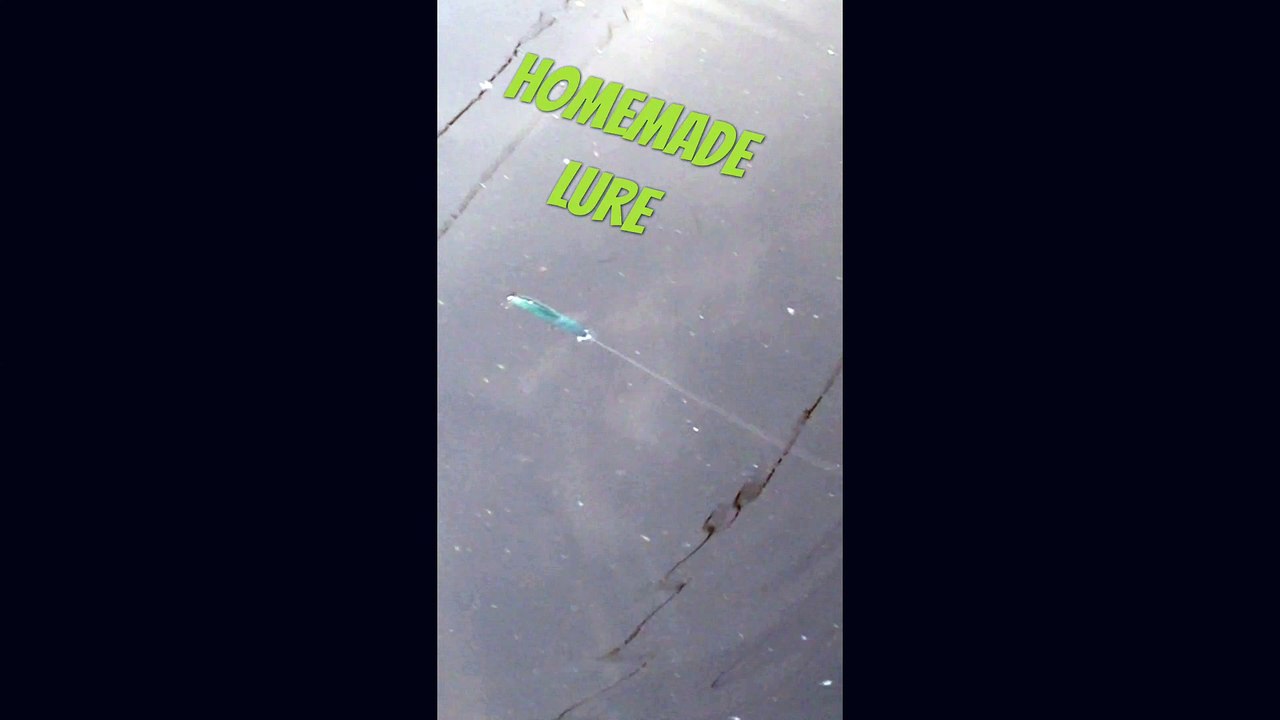 Homemade Twitchbait Wobbler  -  aus Abachi Holz