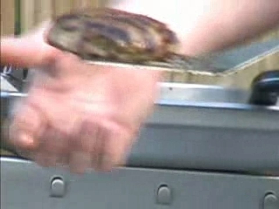 Cooking Demo - MHP Modern Home Products Gas Grill