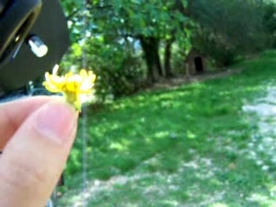 Attention aux yeux !