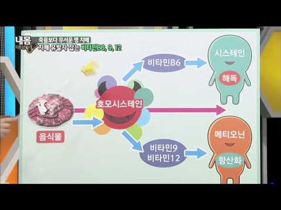 치매 유발자 잡는 비타민은?  [내몸사용설명서] 34회 20150122