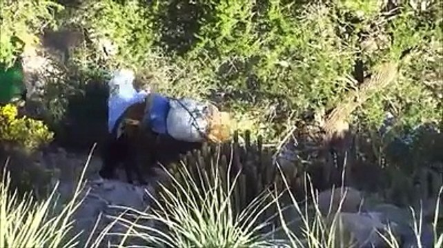 Targua Ntouchka Tourisme Randonnées