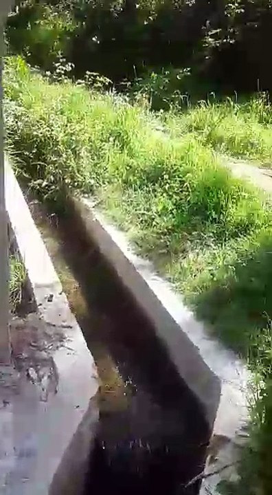 تاركا نتوشكا منطقة شتوكة ايت باها