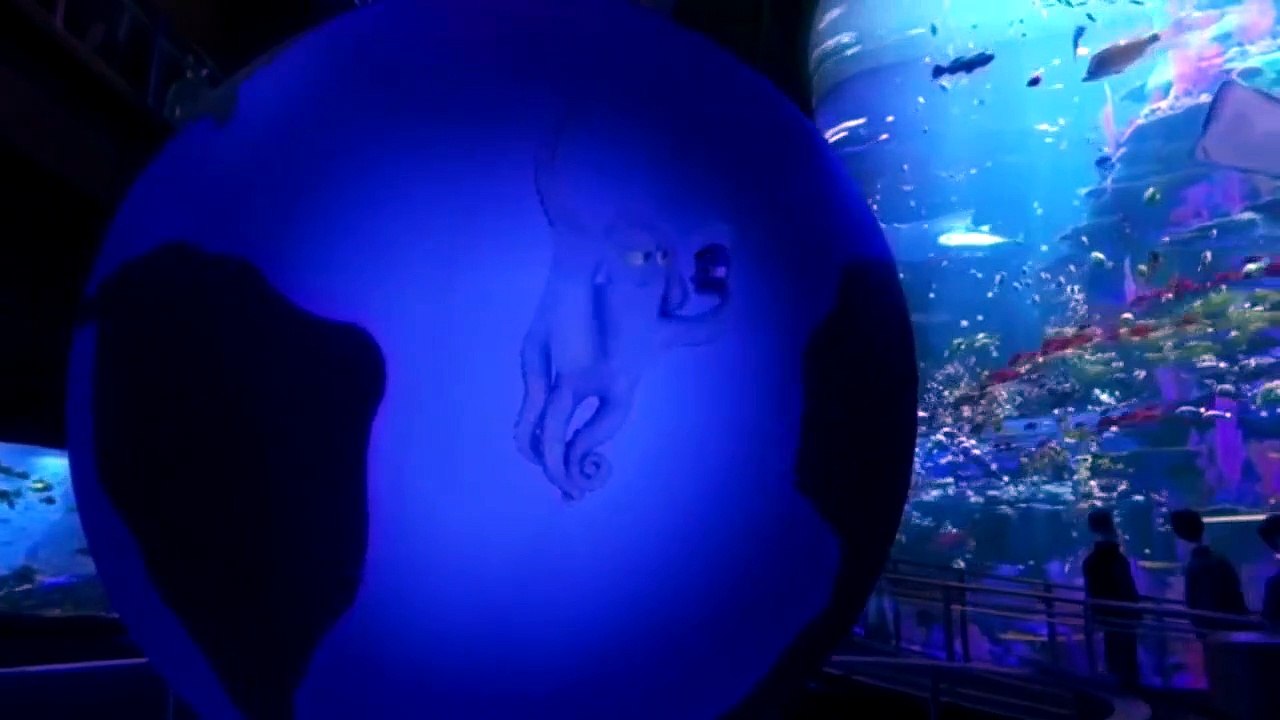FINDING DORY - 'HD]