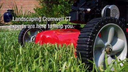 Where To Find Expert Landscaping Services in  Avon, CT