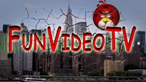 ANGRY BIRDS vs. FLAPPY BIRD  ♫ 3D animated  Game mashup  ☺ FunVideoTV - Style ;-))