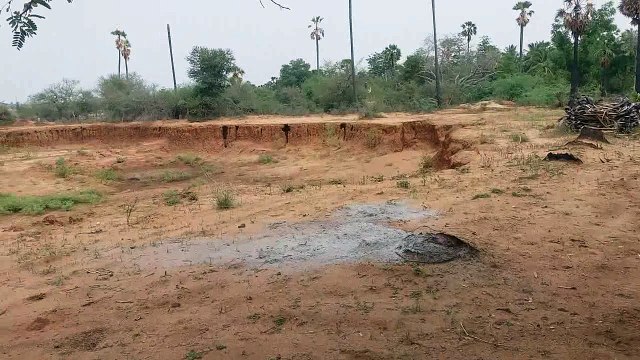 Tamil Nadu Village Evening Time