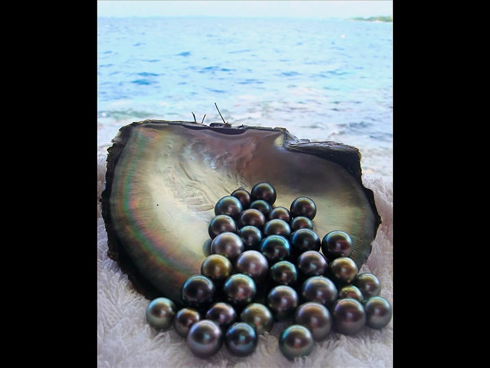 Crni Biseri i Cana - Slavska pesma