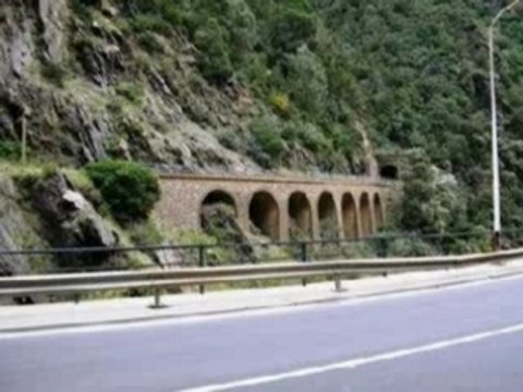 bousaada algerie eddis djalfa naili cheb alger musique dz