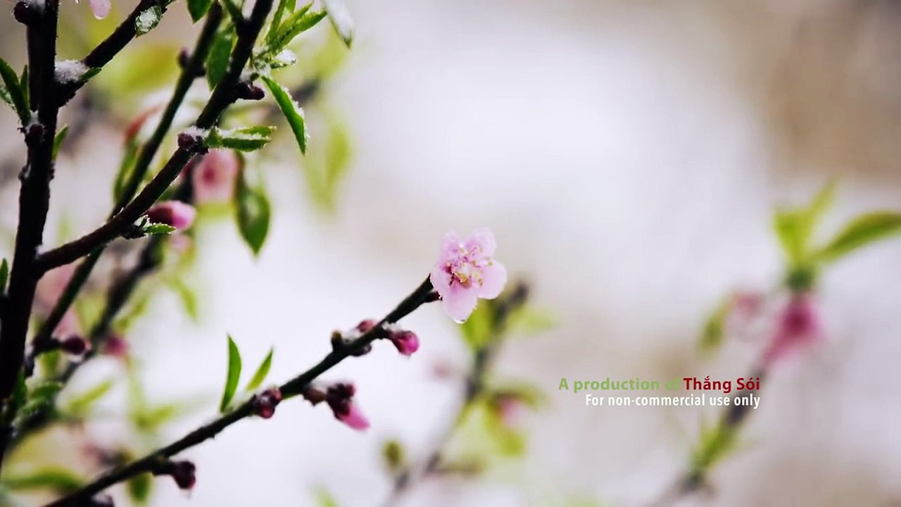 Vietnam Travel - warm spring