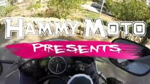 Yamaha R6 - Is It Reall Good