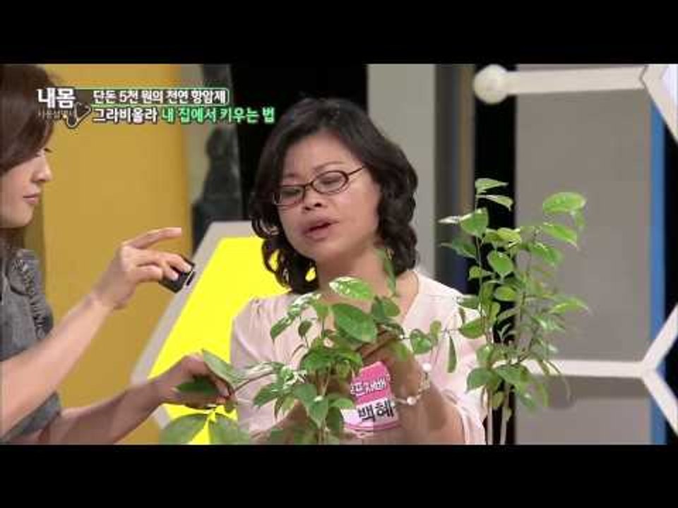 그라비올라 재배법 [내몸사용설명서 28회]
