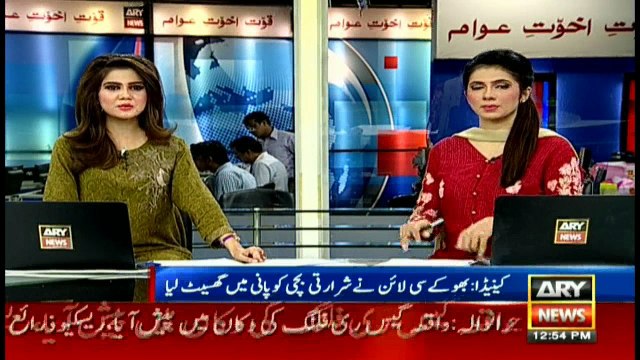 Sea lion drags young girl into water