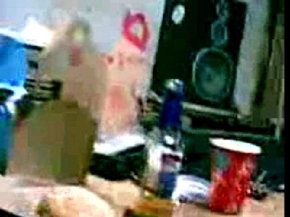 korizoo shod le bouf TOUT