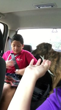 Ce chien est tellement triste de voir cet ado aller à l'école... Il pleure tout les matins