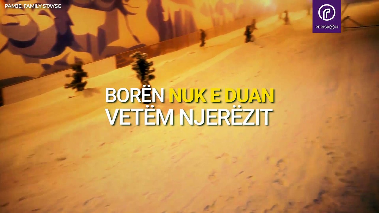 Edhe kafshët e adhurojnë borën!