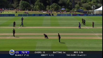 Amelia Kerr 14 Year Old Legspinner Showing Incredible Potential