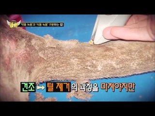 한약재의 충격적인 실체! [법대법 68회]