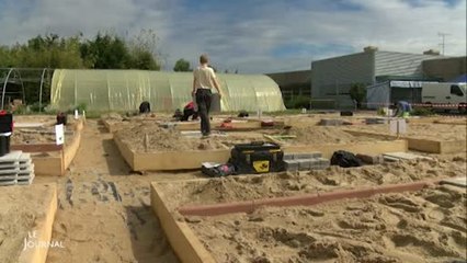 L’épreuve régionale des apprentis paysagistes en Vendée