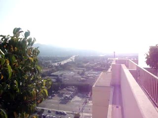 The View From the Roof Deck of the Glendale Hilton I California