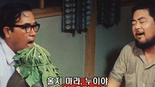 그 여름날의 누이.722