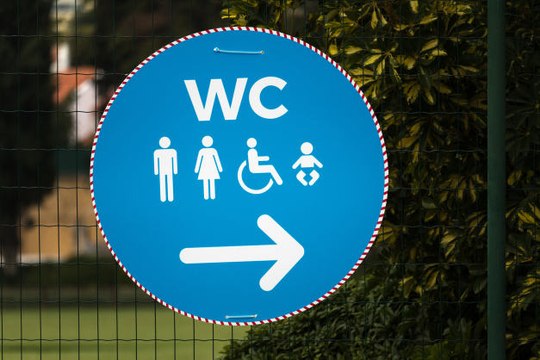 Texas revives transgender 'bathroom bill' in public schools