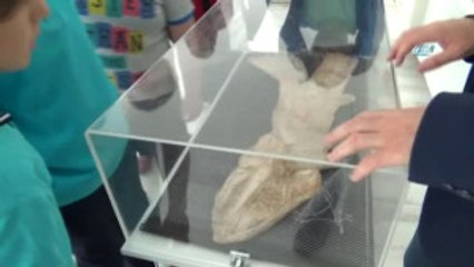2,4 Milyar Yıllık Fosil Dünyada İlk Defa Çankırı'da Sergileniyor