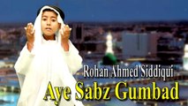 Rohan Ahmed Siddiqui - Aye Sabz Gumbad