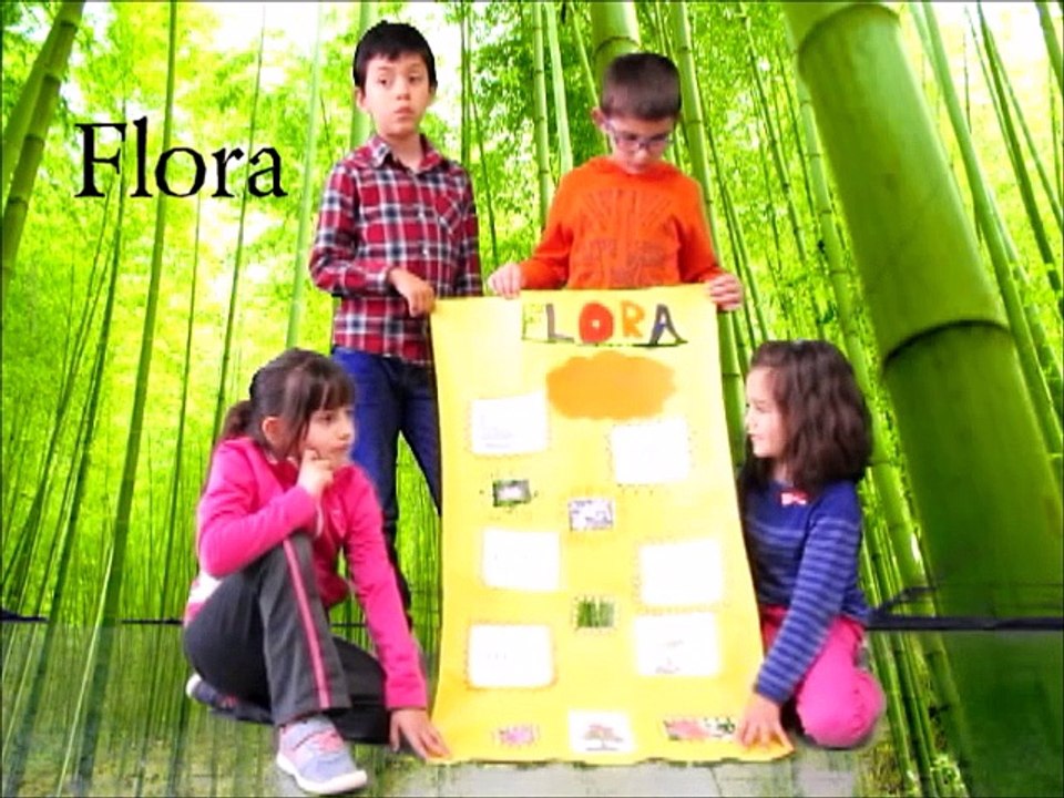 PROYECTO CHINA