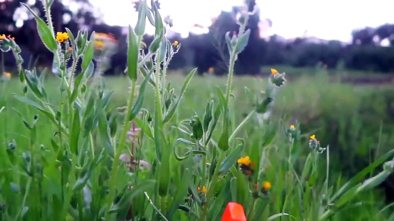 RED RANGER VS GREEN RANGER NERF BATTLE Kids Superheroes In Real Life! POWER RANGERS MOVIE TOYS GUNS-yrBUiP