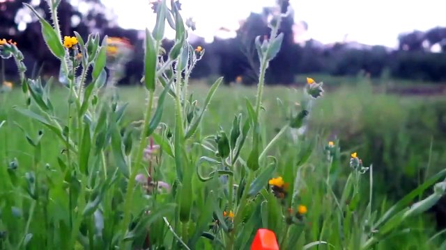 RED RANGER VS GREEN RANGER NERF BATTLE Kids Superheroes In Real Life! POWER RANGERS MOVIE TOYS GUNS-yrBUiP
