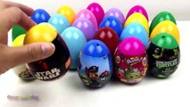 22 Surprise Eggs!!! Paw Patrol Shopkins Star Wars Ninja Turtle Lalaloopsy Minion Plus Loads More-C22N