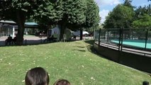 VLOG - MANÈGES & JEUX DE FÊTE FORAINE - Jardin d'Acclimatation à Paris-uSd