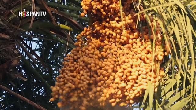 Irán - 1. La artesanía en Sistán y Baluchistán 2. La astronomía 3. El acuario de Isfahán