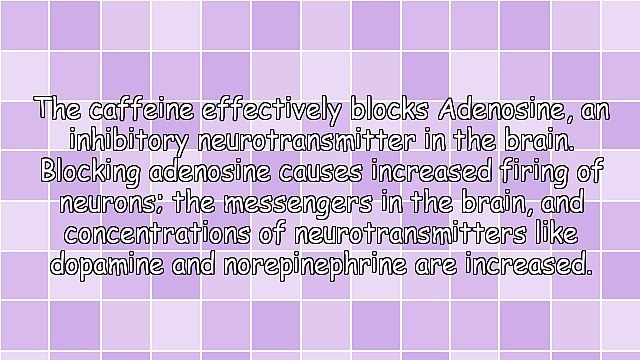 5 Health Benefits of Drinking Green Tea