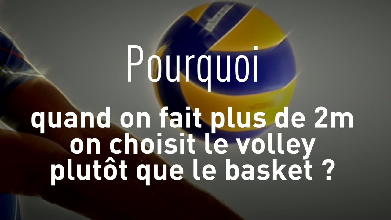 Volley - TQCM - Bleus : Les pourquoi du volley-ball
