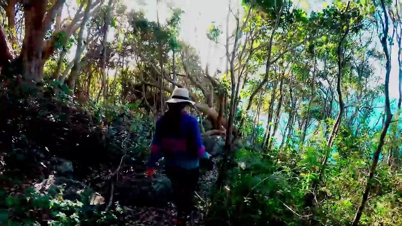 Gold Coast - POV und Luftaufnahmen