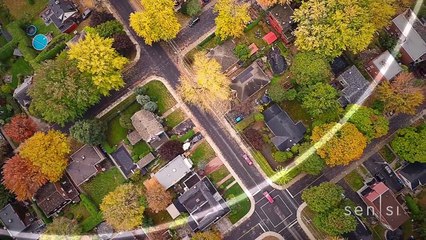 Tap into home comfort with Sensi Touch Wi-Fi Thermostat