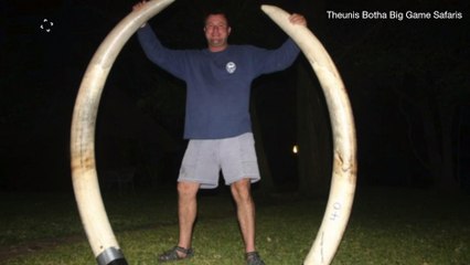 South African Big Game Hunter Crushed By Elephant