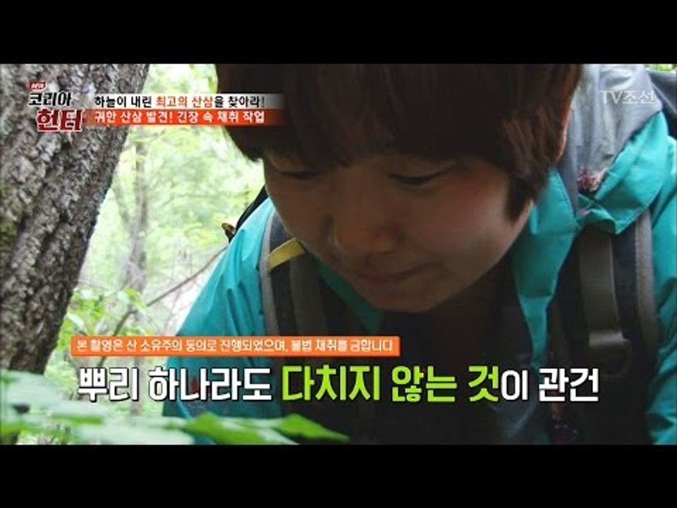 섬세한 손길, 긴장...산삼을 완벽히 채취할 수 있을까? [뉴 코리아 헌터] 51회...