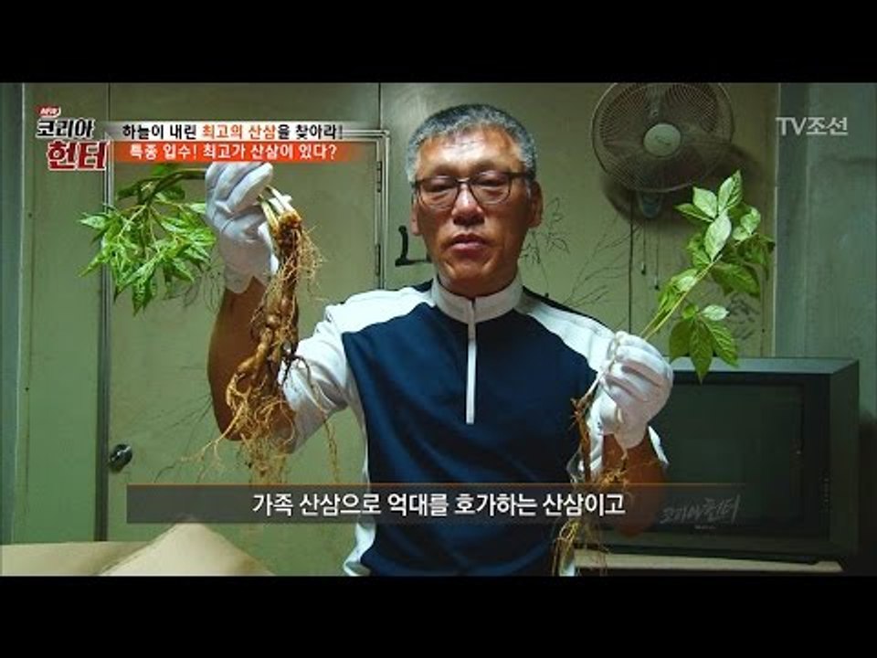 최고가 산삼, 천종삼 가격이 1억원? [뉴 코리아 헌터] 51회 20170522