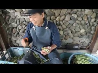 최대규모 와사비 농장 [건강한 여행 휴 1회]