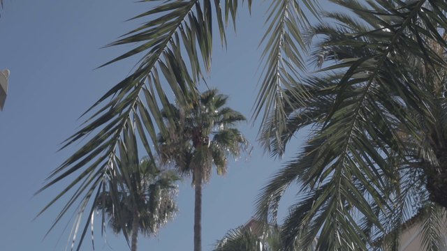 Nahuel Pérez Biscayart on his sex scenes with Arnaud Valois