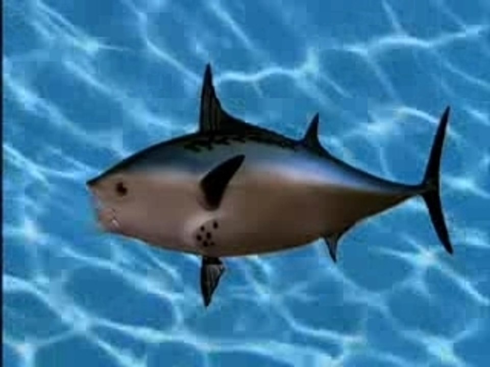 Bob l'éponge carrée, avec Marina !