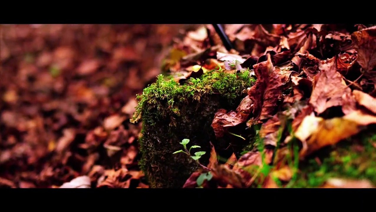 Roger Taylor | Journey's End (promo)