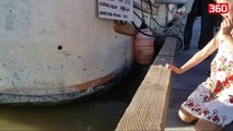 Video qe po cmend rrjetin/Momenti kur luani i detit terheq vajzen e vogel ne uje (360video)