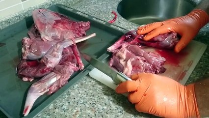 Yaban Tavşanı Temizleme ve Pişirme Teknikleri