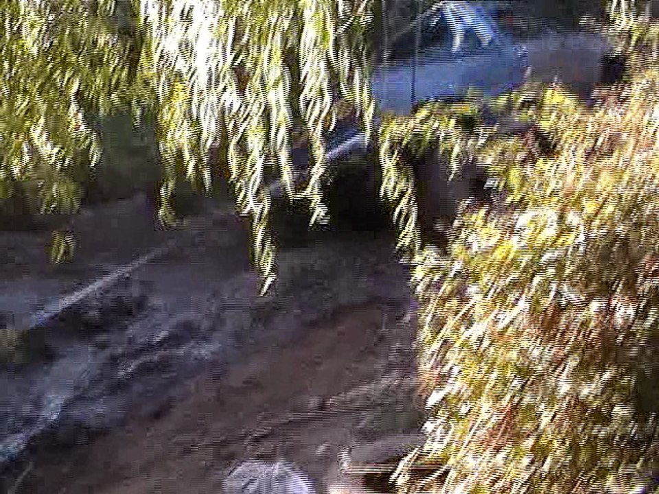 CITRONETEANDO Y JEEPEANDO EN LINARES 2012