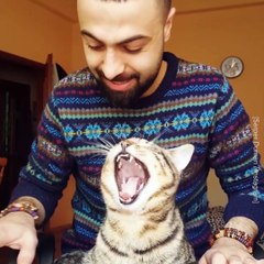 This Guy Plays Piano With His Cat And OMG