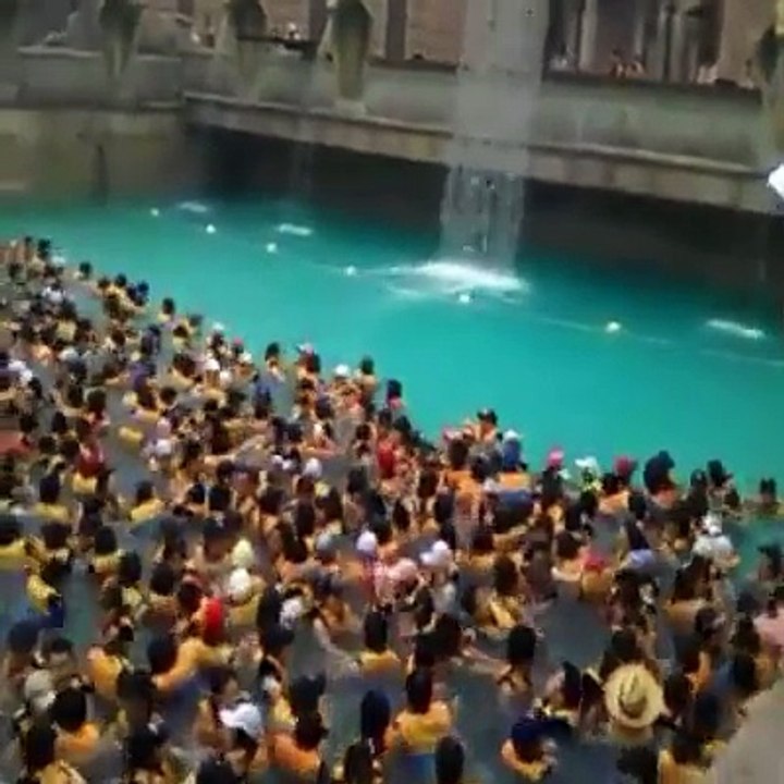 Tsunami Feeling