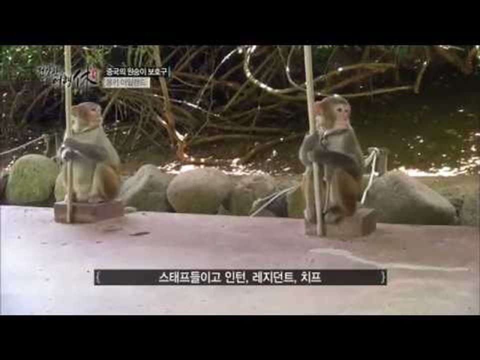해남도의 원숭이 섬 [건강한 여행 휴 3회]